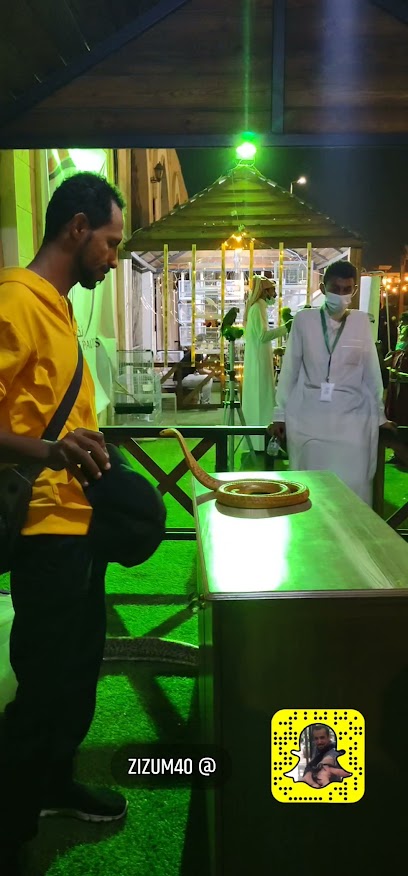 الشارع الثقافي - Saudi Arabia|Sabya 85534|5M62+M9F